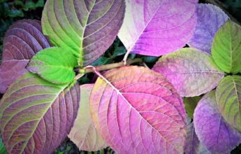 Там ему виделся какой-то свой разнообразный и приятный мир